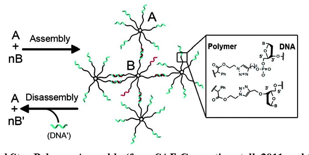 star polymer assembly